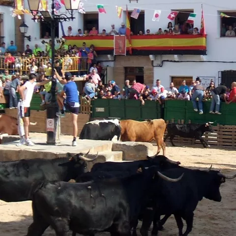 Festejos con toros en los encierros de Villamanrique