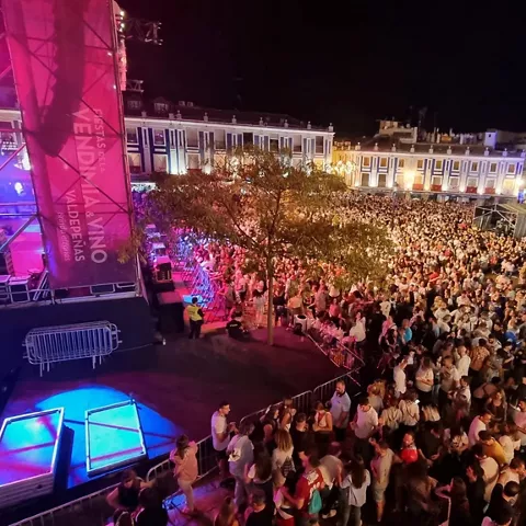 Actividad de las Fiestas de la Vendimia de Valdepeñas