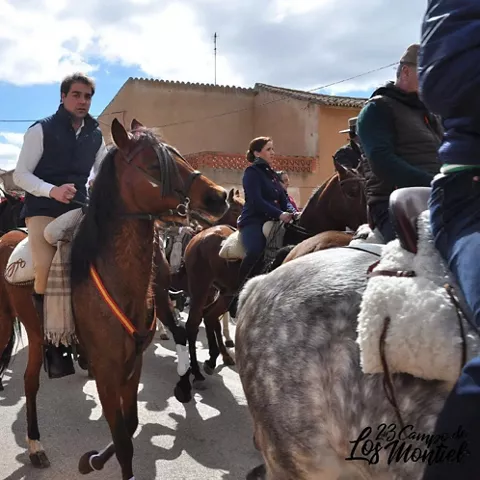 Borricá en Torrenueva, Ciudad Real