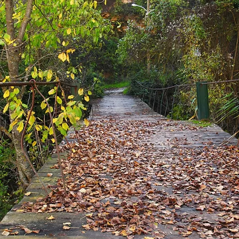 Puente de los Alejos sobre el río Mundo en Molinicos, Albacete