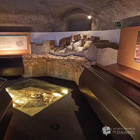Sala del Museo Comarcal de Daimiel, Ciudad Real