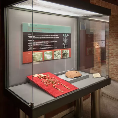 Fondos del Museo Municipal de Valdepeñas