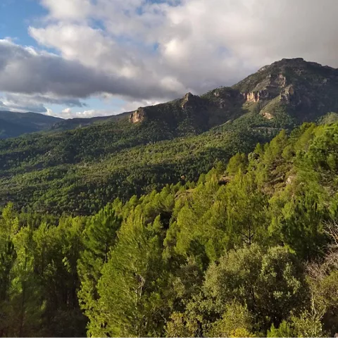 Entorno del nacimiento del arroyo Bravo en Yeste
