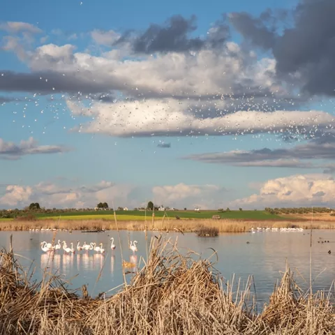 Laguna Navaseca en Daimiel, Ciudad Real