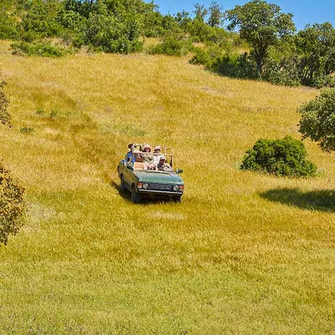 Safari en La Nava del Barranco
