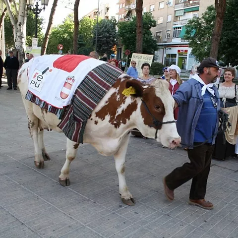 Celebración del Santo Voto en Puertollano, Ciudad Real