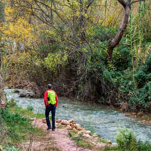 Ascenso al Pico Padrastro desde Bogarra
