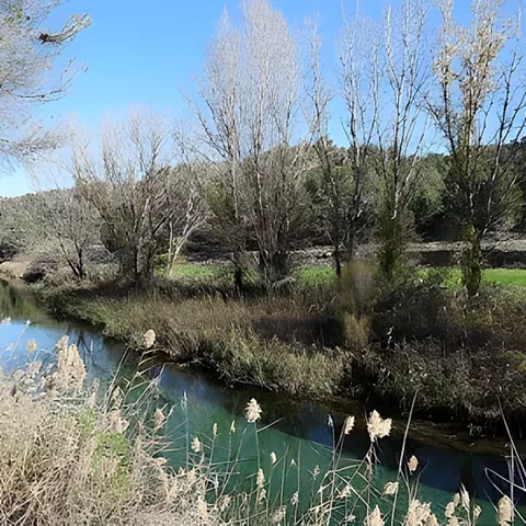 Ruta del tollo de las Tortugas-PR-AB41 en Villamalea, Albacete