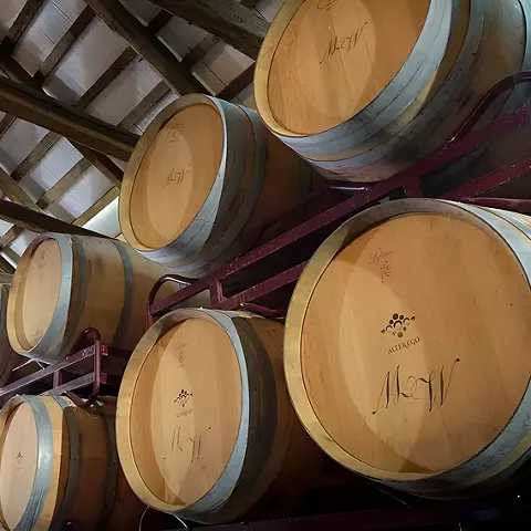 DOP Vino de Pago Los Cerrillos