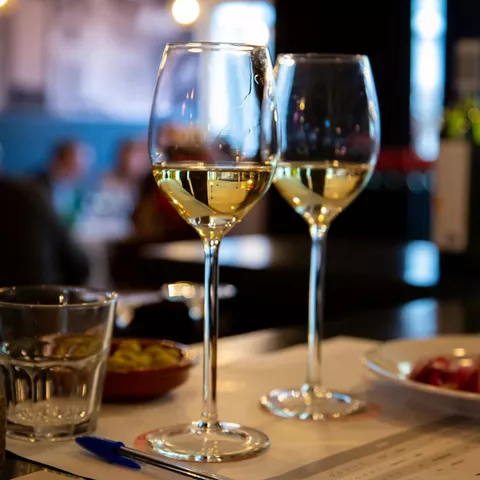 Vinos DOP Pago Casa del Blanco