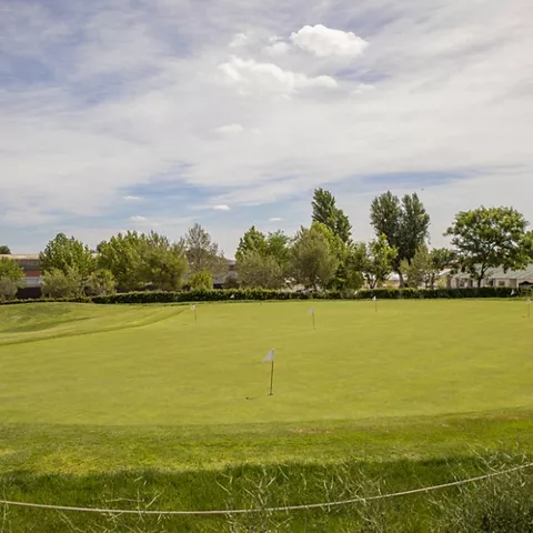Vista panorámica del green rodeado de arbolado