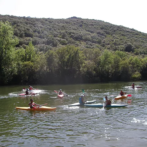 Personas practicando piragüismo en un río tranquilo.