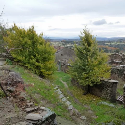 Camino empedrado entre muros de piedra y vegetación
