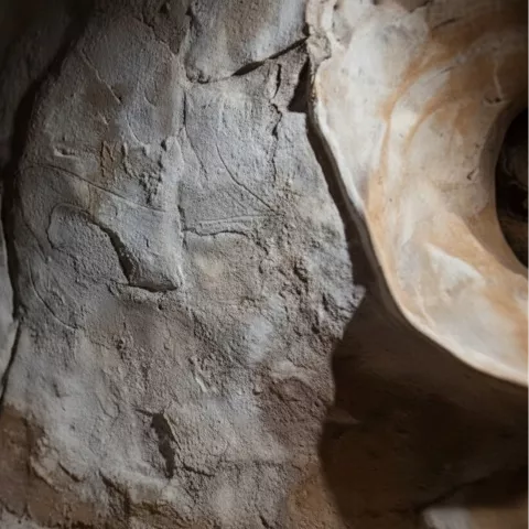 Grabados prehistóricos incisos en pared rocosa iluminada lateralmente.