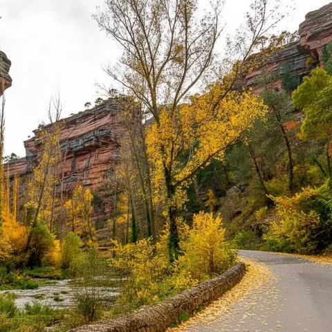Sendero junto al río entre paredes de piedra y árboles otoñales.