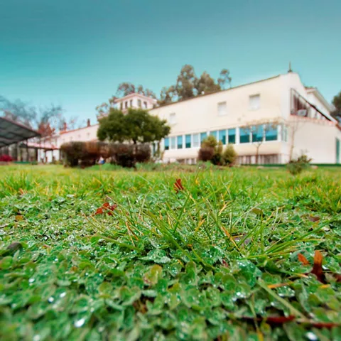 Césped con gotas de rocío frente a edificio rural
