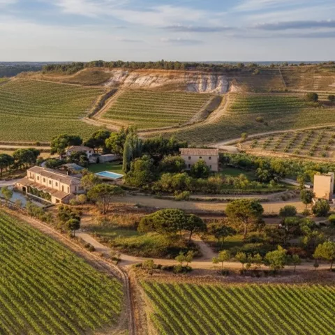 Entorno de la bodega Calzadilla en Cuenca