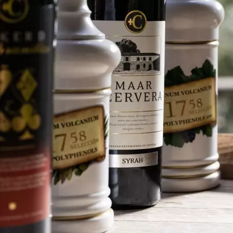 Botellas de vino y productos gourmet sobre mesa de madera