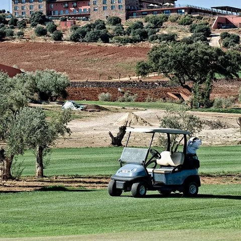 Carrito de golf junto al fairway