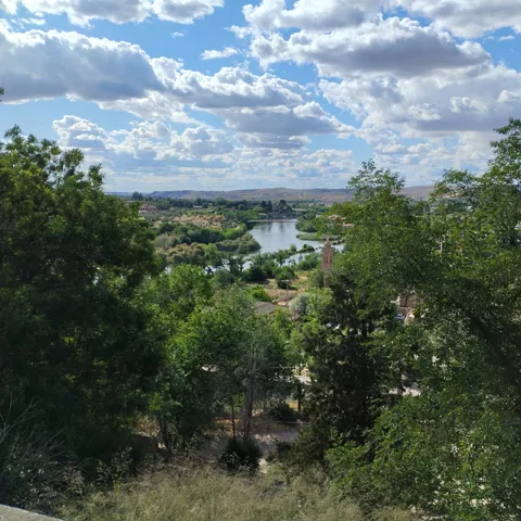 Vista de río entre árboles