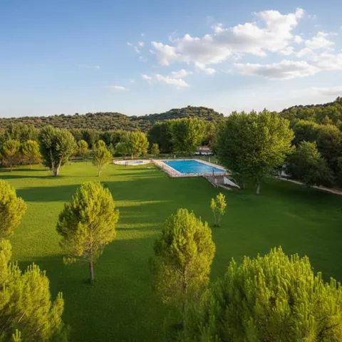 Pradera verde con árboles y piscina al fondo bajo cielo despejado.