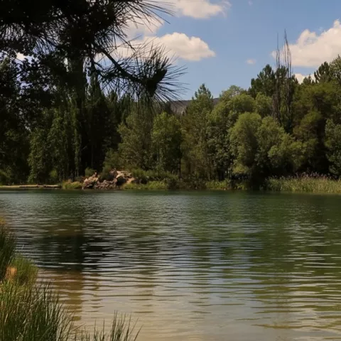 Zona fluvial con vegetación frondosa