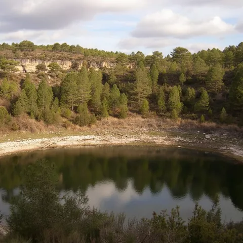 Laguna natural rodeada de pinar.
