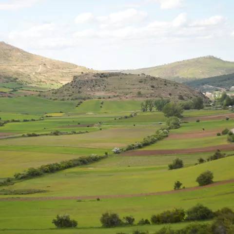 Paisaje rural con parcelas agrícolas verdes y colinas suaves al fondo.
