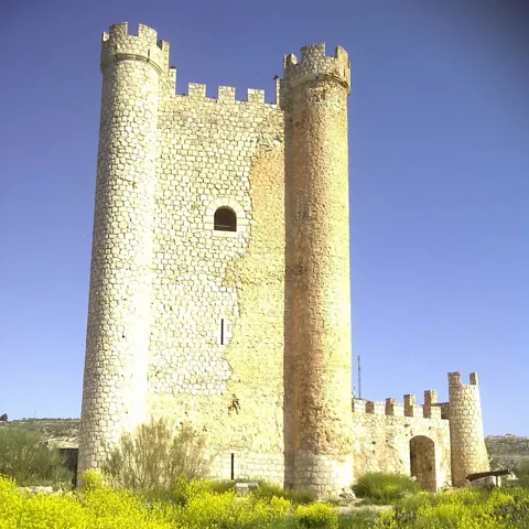 Murallas de piedra con torre circular rodeadas de flores amarillas en primer plano.
