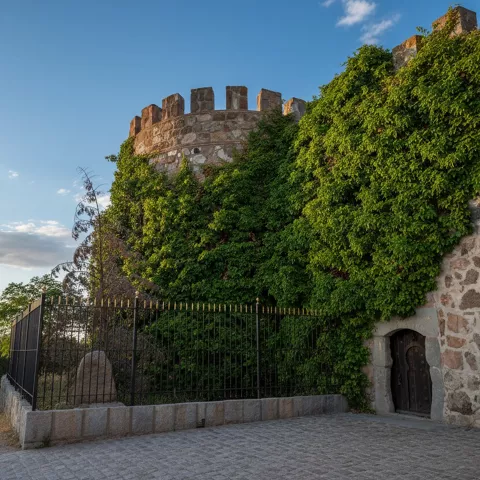Puerta arqueada en muralla de piedra con hiedra y verja metálica.