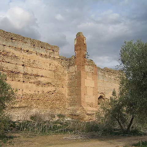 Detalle de muralla antigua con torre y vegetación en primer plano.