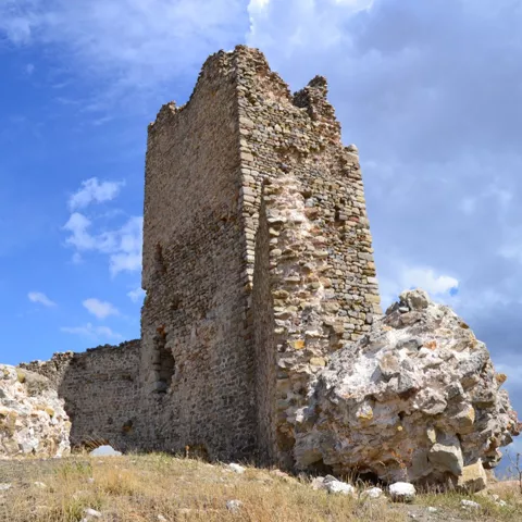 Torre de piedra entre campos secos.