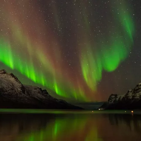 Aurora boreal sobre paisaje ártico.