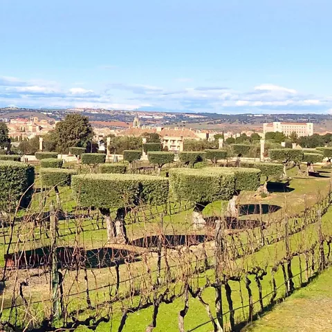 Viñedos y jardines recortados con ciudad al fondo