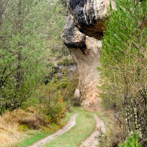 Sendero bajo roca monumental.