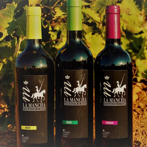 Botellas de vino tinto sobre suelo de viñedo