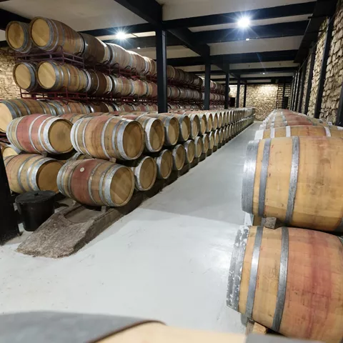 Botas en sala de crianza
