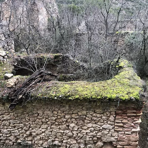 Muros derruidos cubiertos de musgo y vegetación silvestre