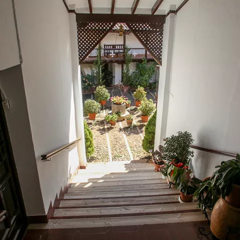 Escalera interior con macetas hacia un patio.