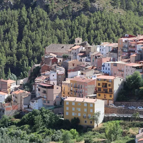 Conjunto de viviendas escalonadas en una ladera boscosa.