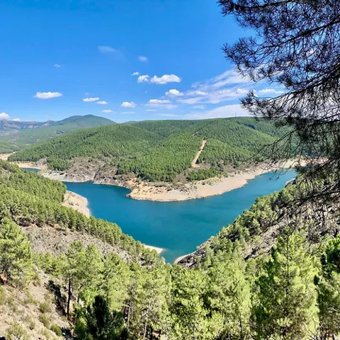 Valle con embalse entre pinares.