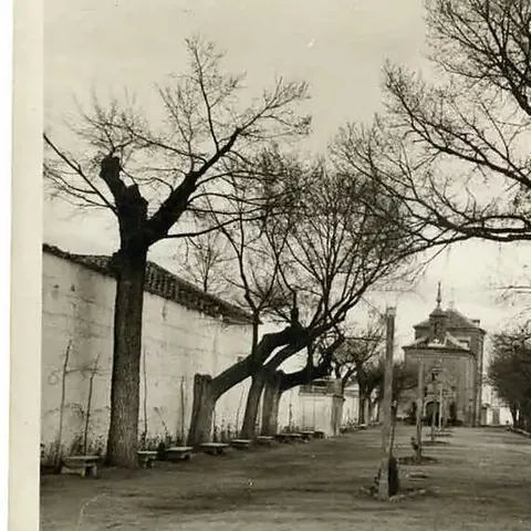 Paseo arbolado con iglesia al fondo en blanco y negro