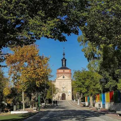 Paseo arbolado que conduce a una iglesia al fondo.