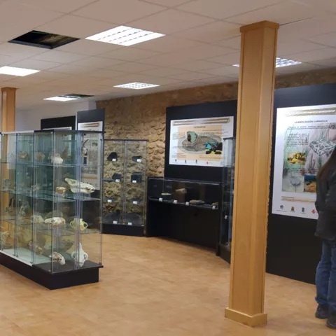 Sala expositiva con vitrinas geológicas