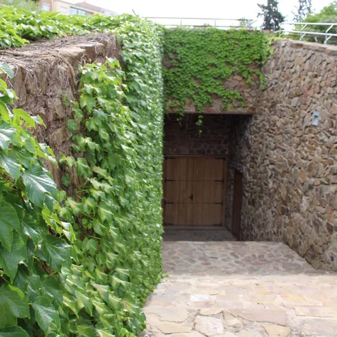 Acceso subterráneo con muros de piedra cubiertos de vegetación