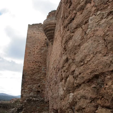 Lienzo de muralla con torre al fondo y vegetación seca.