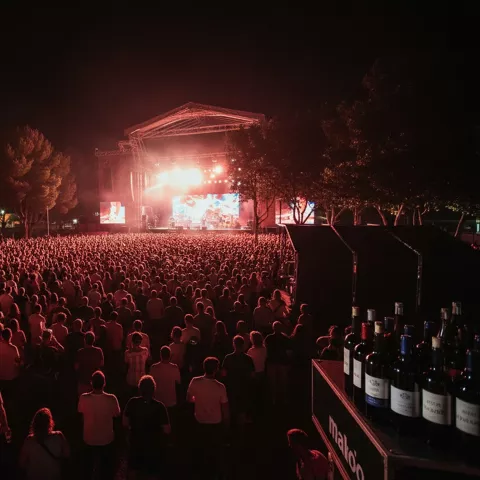 Vista general de público masivo ante escenario con luces rojas.