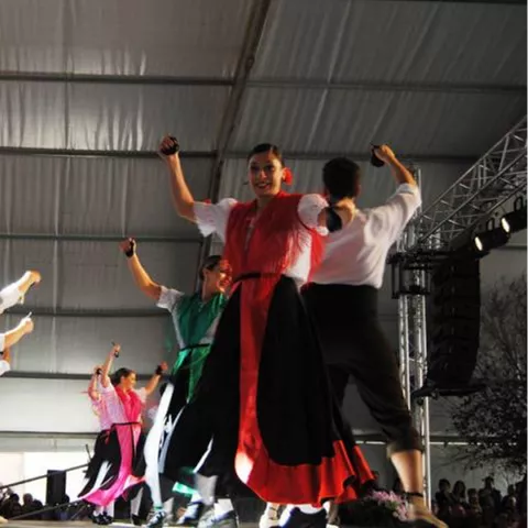 Grupo de bailarines con vestimenta tradicional actuando bajo una carpa.
