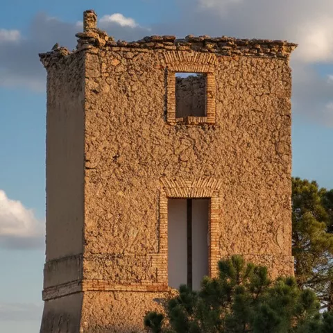 Torre aislada sobresaliendo entre árboles