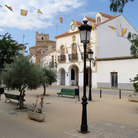 Plaza principal con ayuntamiento y arbolado